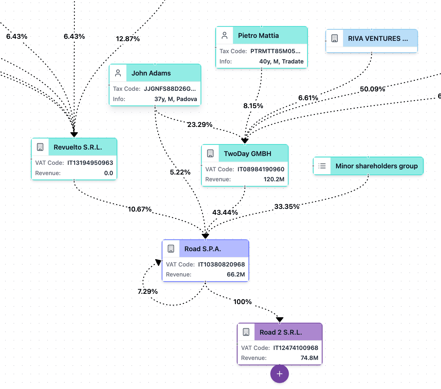 Shareholder structure graph